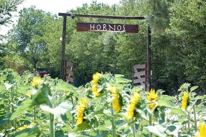 Agriturismo Hornos Numana Exterior photo